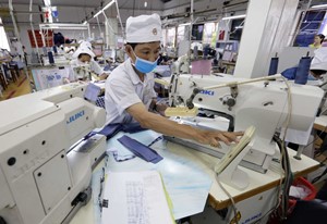 Yêu cầu Tiền Giang khẩn trương giải quyết kiến nghị của cộng đồng doanh nghiệp FDI